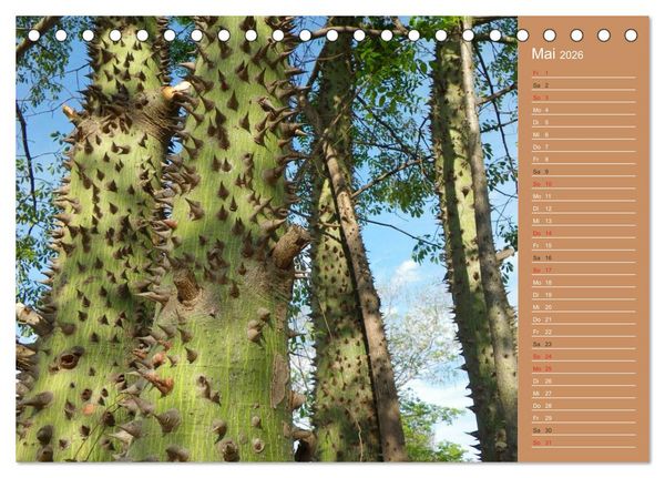 Produktbild: Bilder aus dem Chaco in Paraguay (Tischkalender 2026 DIN A5 quer), CALVENDO Monatskalender