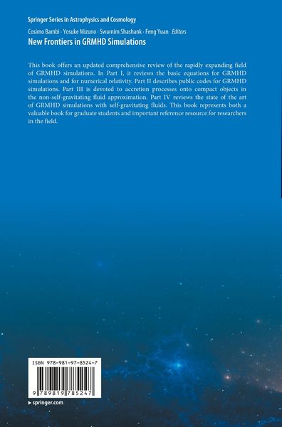 Produktbild: New Frontiers in GRMHD Simulations