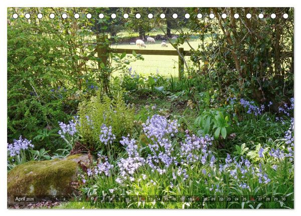 Produktbild: Malerische Cotswolds (Tischkalender 2026 DIN A5 quer), CALVENDO Monatskalender