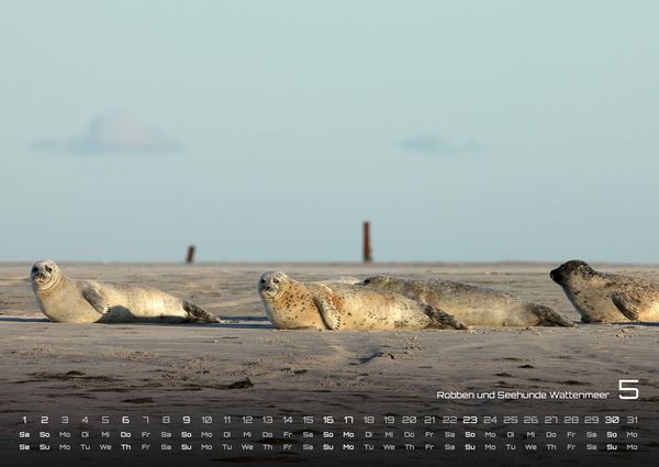 Produktbild: Nordsee &ndash; K&uuml;stenzauber - 2027 - Kalender DIN A2