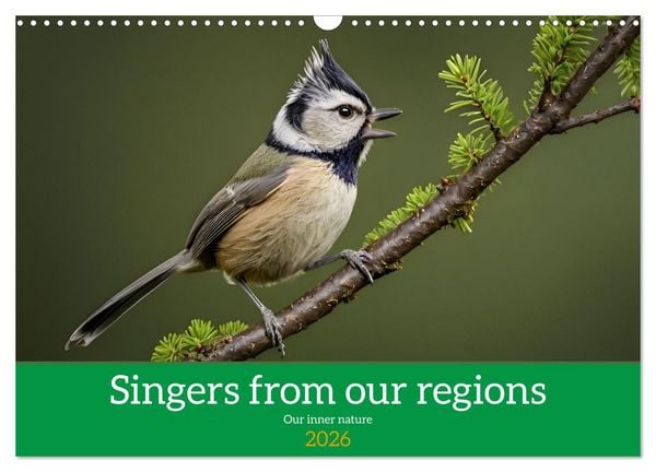 Singers from our regions - Our intimate nature (Wall Calendar 2026 DIN A3 landscape), CALVENDO 12 Month Wall Calendar