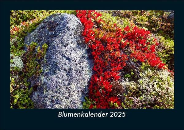 Produktbild: Blumenkalender 2025 Fotokalender DIN A5