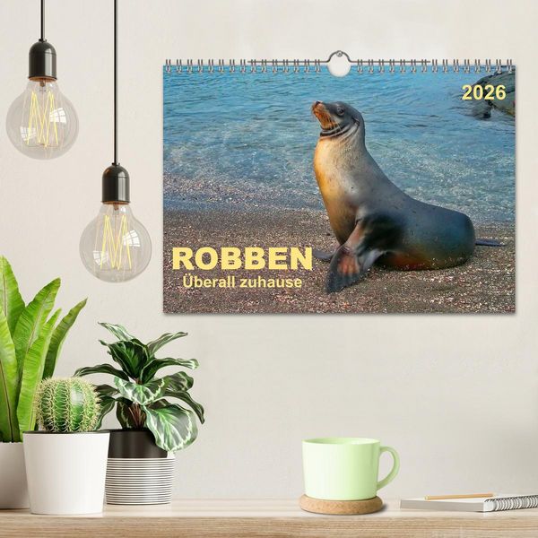 Produktbild: Robben - &uuml;berall zuhause (Wandkalender 2026 DIN A4 quer), CALVENDO Monatskalender