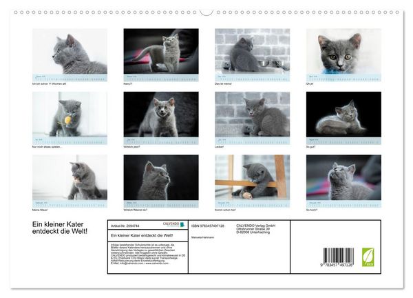 Produktbild: Ein kleiner Kater entdeckt die Welt! (hochwertiger Premium Wandkalender 2026 DIN A2 quer), Kunstdruck in Hochglanz