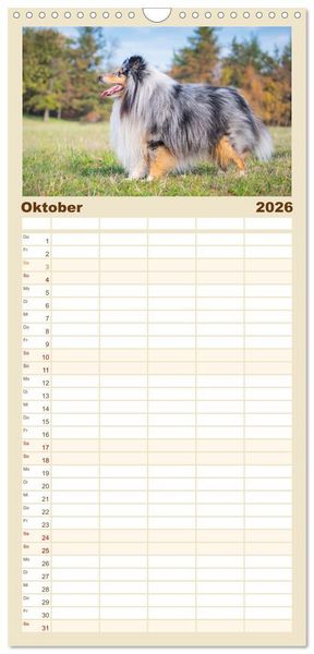 Produktbild: Familienplaner 2026 - Sheltie - Ein St&uuml;ck vom Gl&uuml;ck mit 5 Spalten (Wandkalender, 21 x 45 cm) CALVENDO