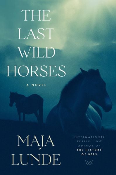 Produktbild: The Last Wild Horses