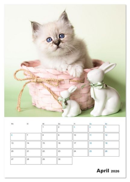 Produktbild: Heilige Birma Kitten Kalender mit Planer (Tischkalender 2026 DIN A5 hoch), CALVENDO Monatskalender