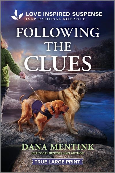 Produktbild: Following the Clues
