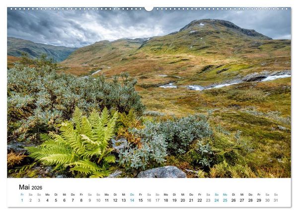Produktbild: NORWEGEN - NORDMEER LANDSCHAFTEN (Wandkalender 2026 DIN A2 quer), CALVENDO Monatskalender