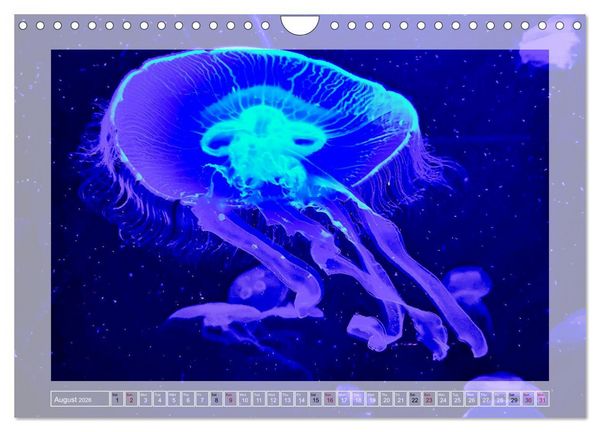Produktbild: In the world of the medusae (Wall Calendar 2026 DIN A4 landscape), CALVENDO 12 Month Wall Calendar