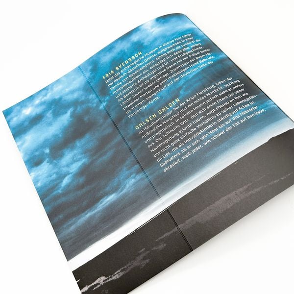 Produktbild: Die Brandung – Moorengel