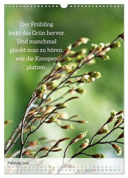Produktbild: Manchmal - Poetische Momentaufnahmen (Wandkalender 2026 DIN A3 hoch), CALVENDO Monatskalender