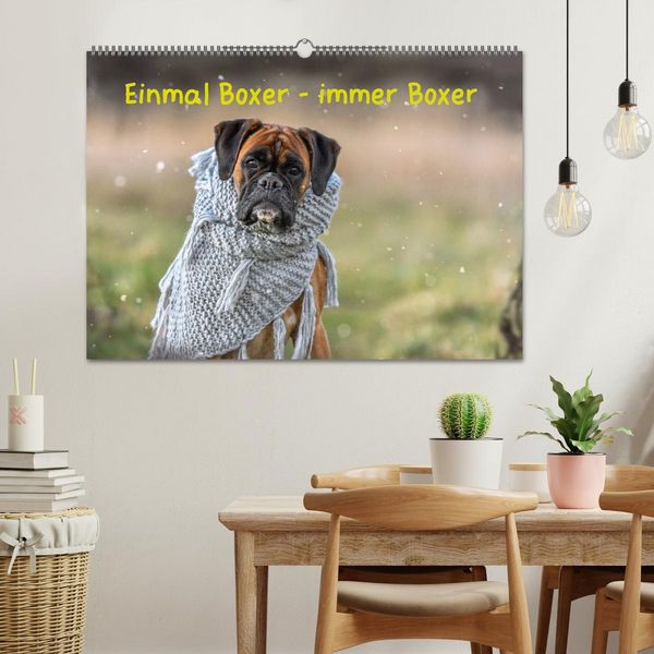 Produktbild: Einmal Boxer - immer Boxer (Wandkalender 2026 DIN A2 quer), CALVENDO Monatskalender