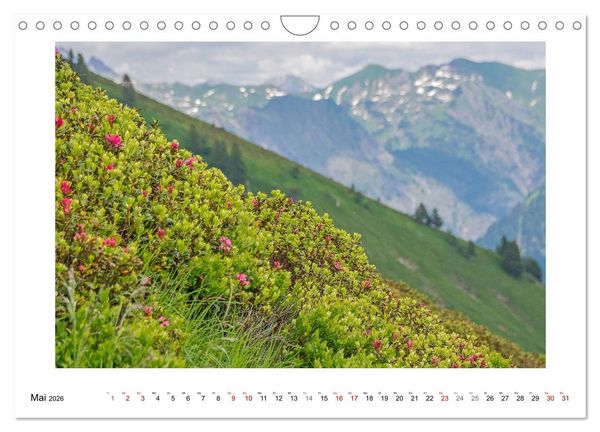 Produktbild: Naturwunder Bergwelt Fellhorn und H&ouml;rnergruppe (Wandkalender 2026 DIN A4 quer), CALVENDO Monatskalender