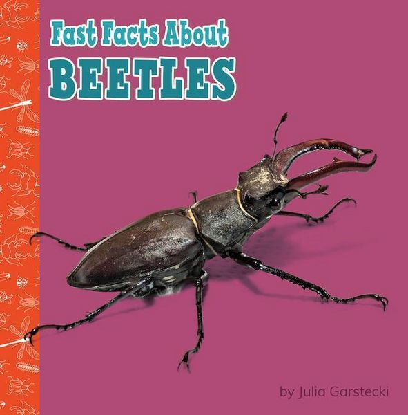 Produktbild: Fast Facts about Beetles