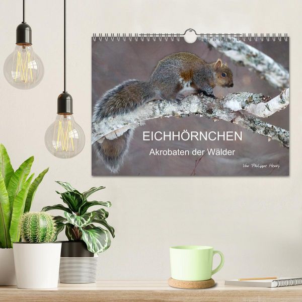 Produktbild: EICHH&Ouml;RNCHEN (Wandkalender 2026 DIN A4 quer), CALVENDO Monatskalender