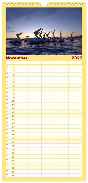 Produktbild: Familienplaner 2027 - Krauskopfpelikane mit 5 Spalten (Wandkalender, 21 x 45 cm) CALVENDO