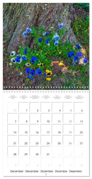 Produktbild: Harmonie Florale Des Pr&eacute;s aux Villes (Calendrier mural carr&eacute; 2026 30x30 cm) Calendrier double avec une page pour vos prises de notes