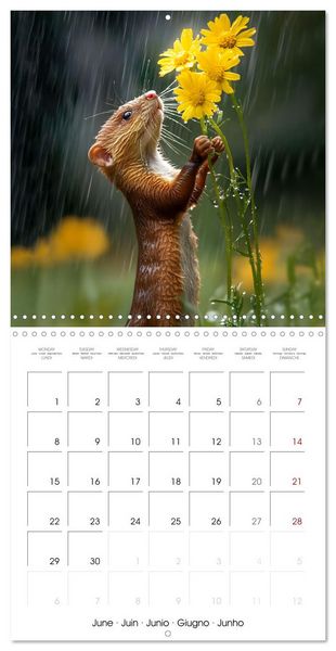 Produktbild: WILDLIFE IN THE ENCHANTED FOREST (Wall Calendar 2026 12 &times; 12 Inch) CALVENDO 12 Month Wall Calendar
