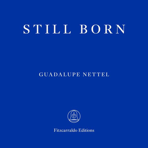 Still Born - Guadalupe Nettel, Audio, 9781804272015