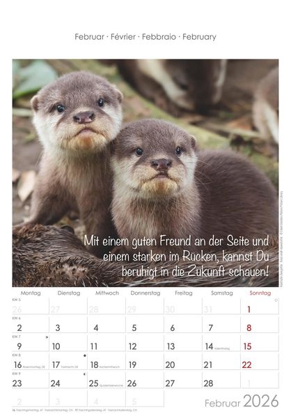 Produktbild: Kleine Freunde 2026 - Bildkalender 23,7x34 cm - Kalender mit Platz für Notizen - mit vielen Zusatzinformationen - Wandkalender - Alpha Edition
