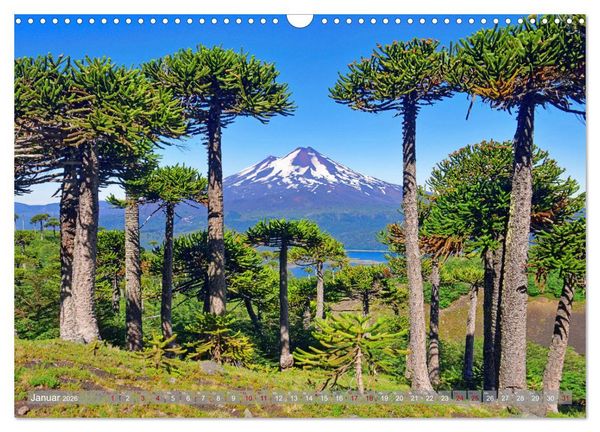 Produktbild: Der Kleine S&uuml;den von Chile (Wandkalender 2026 DIN A3 quer), CALVENDO Monatskalender