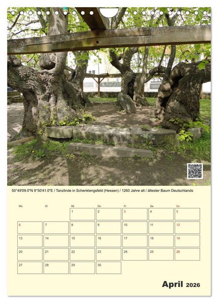 Produktbild: Uralt - Mit QR-Code und GPS zu alten B&auml;umen (Wandkalender 2026 DIN A4 hoch), CALVENDO Monatskalender