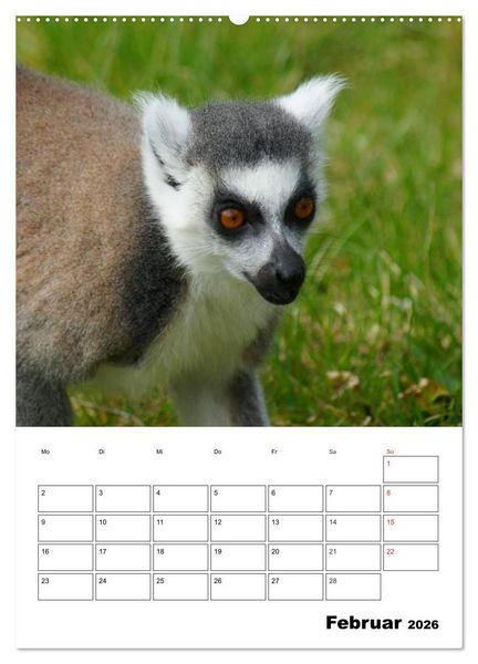 Produktbild: Katta Terminplaner (Wandkalender 2026 DIN A2 hoch), CALVENDO Monatskalender