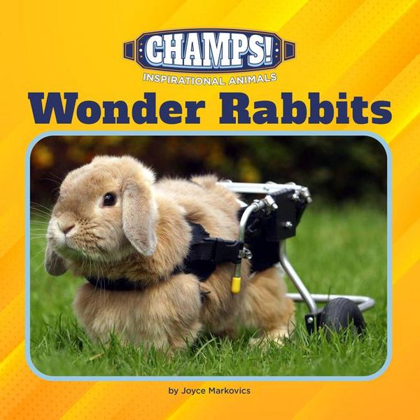Produktbild: Wonder Rabbits