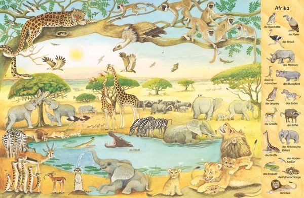 Mein erstes Wimmelbuch: Tiere aus aller Welt