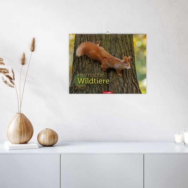 Produktbild: Heimische Wildtiere Kalender 2027