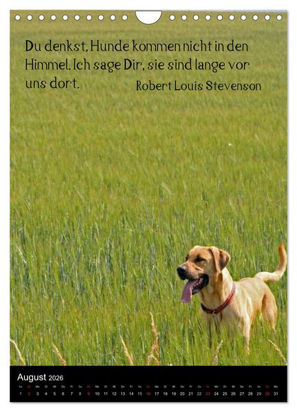Produktbild: Der Broholmer (Wandkalender 2026 DIN A4 hoch), CALVENDO Monatskalender