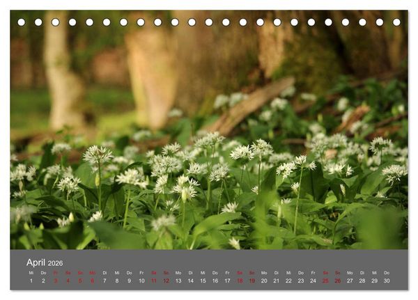 Produktbild: Wahner Heide - Aussichten und Begegnungen (Tischkalender 2026 DIN A5 quer), CALVENDO Monatskalender