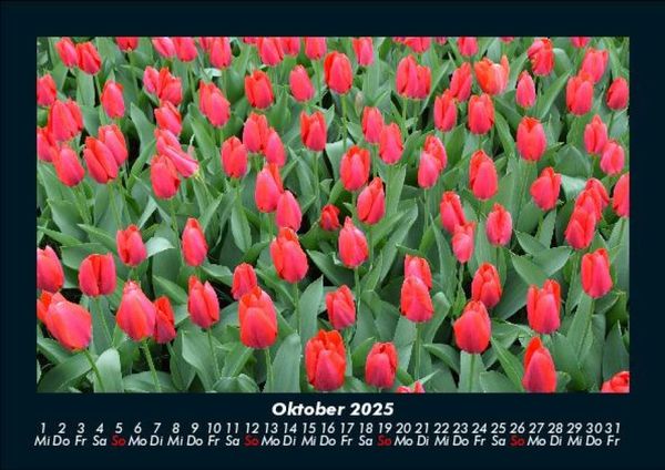 Produktbild: Blumentr&auml;ume 2025 Fotokalender DIN A5