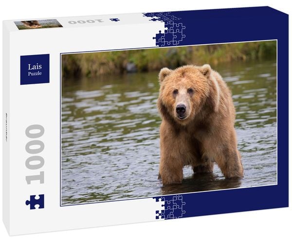 Produktbild: Lais Puzzle Braunb&auml;r 1000 Teile