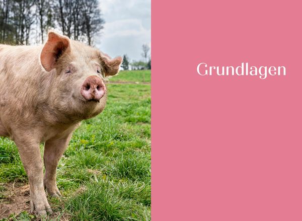 Produktbild: Das ganze Schwein