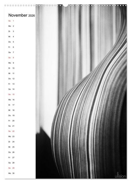 Produktbild: Akt abstrakt (Wandkalender 2026 DIN A2 hoch), CALVENDO Monatskalender