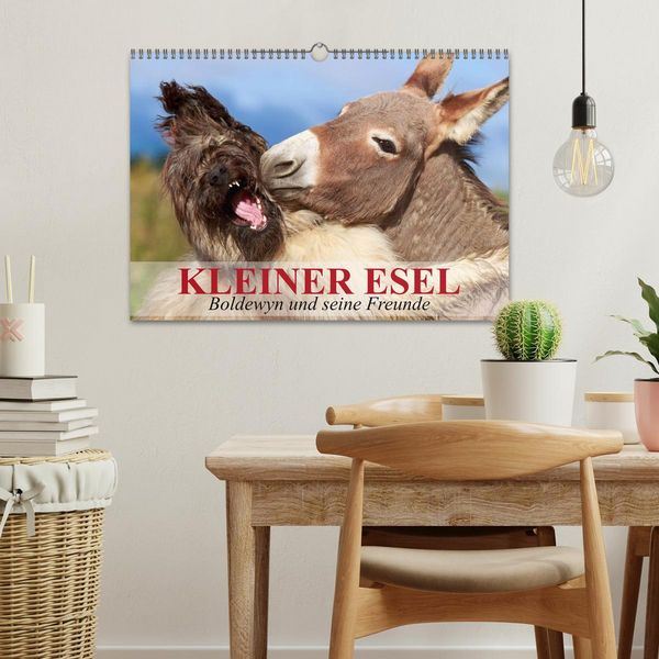 Produktbild: Kleiner Esel. Boldewyn und seine Freunde (Wandkalender 2026 DIN A3 quer), CALVENDO Monatskalender