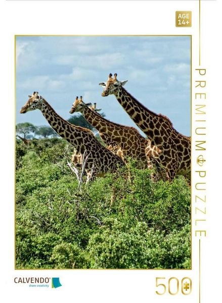 CALVENDO Puzzle Giraffen. Voller Stolz und Grazie | 500 Teile Lege-Größe 48 × 36 cm Foto-Puzzle für Erwachsene