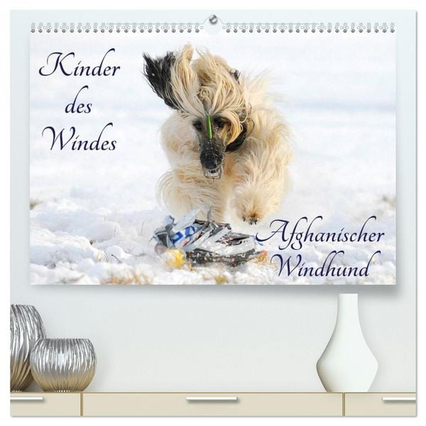 Produktbild: Kinder des Windes - Afghanischer Windhund (hochwertiger Premium Wandkalender 2026 DIN A2 quer), Kunstdruck in Hochglanz