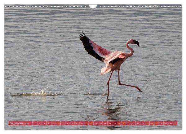Produktbild: Flamingos am Lake Bogoria - Kenia (Wandkalender 2026 DIN A3 quer), CALVENDO Monatskalender