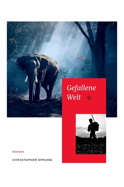 Produktbild: Gefallene Welt