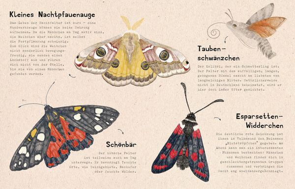 Produktbild: natur-verliebt