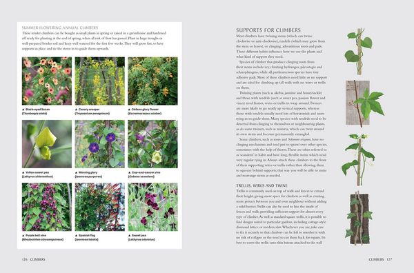 Produktbild: National Trust School of Gardening