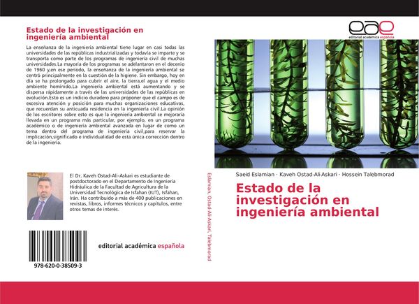 Produktbild: Estado de la investigaci&oacute;n en ingenier&iacute;a ambiental