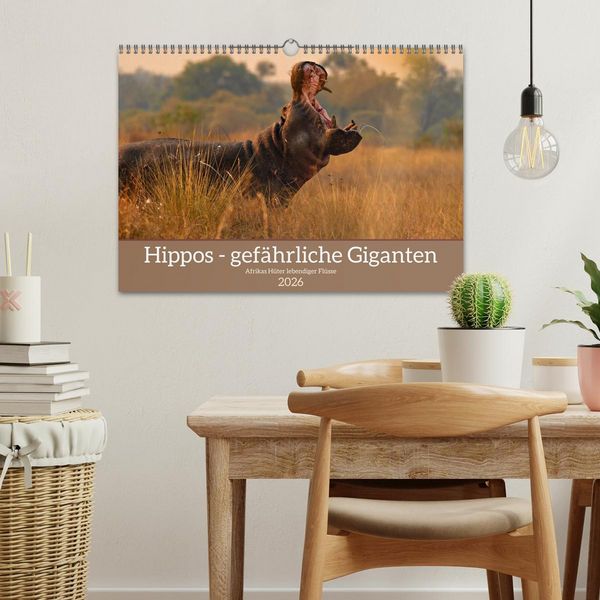 Produktbild: Hippos - Gef&auml;hrliche Giganten (Wandkalender 2026 DIN A3 quer), CALVENDO Monatskalender