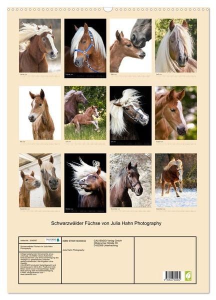 Produktbild: Schwarzw&auml;lder F&uuml;chse von Julia Hahn Photography (Wandkalender 2026 DIN A2 hoch), CALVENDO Monatskalender