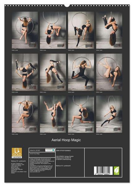 Produktbild: Aerial Hoop Magic (hochwertiger Premium Wandkalender 2026 DIN A2 hoch), Kunstdruck in Hochglanz