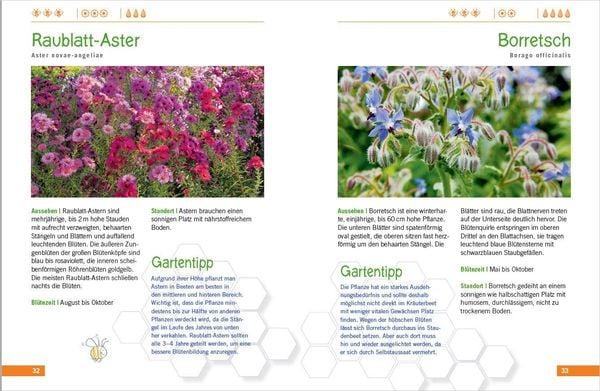 Die schönsten Pflanzen für Bienen und Hummeln u.v.a. nützliche Insekten. Für Garten, Balkon & Terrasse