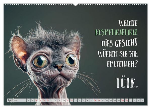 Produktbild: Katzenlogik - Wenn Blicke miauen k&ouml;nnten (Wandkalender 2026 DIN A2 quer), CALVENDO Monatskalender